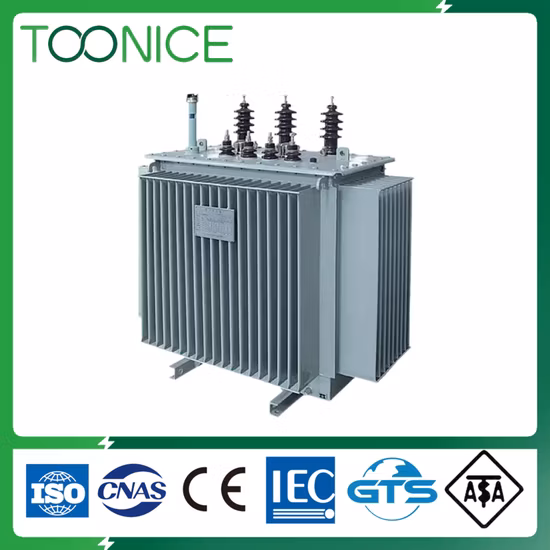 Custom 200 250 300 315 350 400 500 600 630 700 750 800 кВА 10кв 11кв 0,4кв трехфазный 3-ступенчатый электрический масляный распределительный трансформатор
